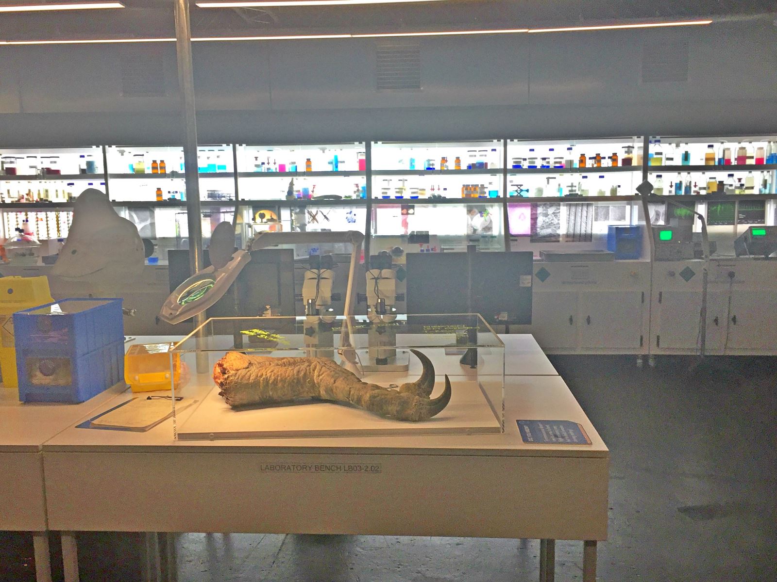 Dinosaurs in the Wild Lab